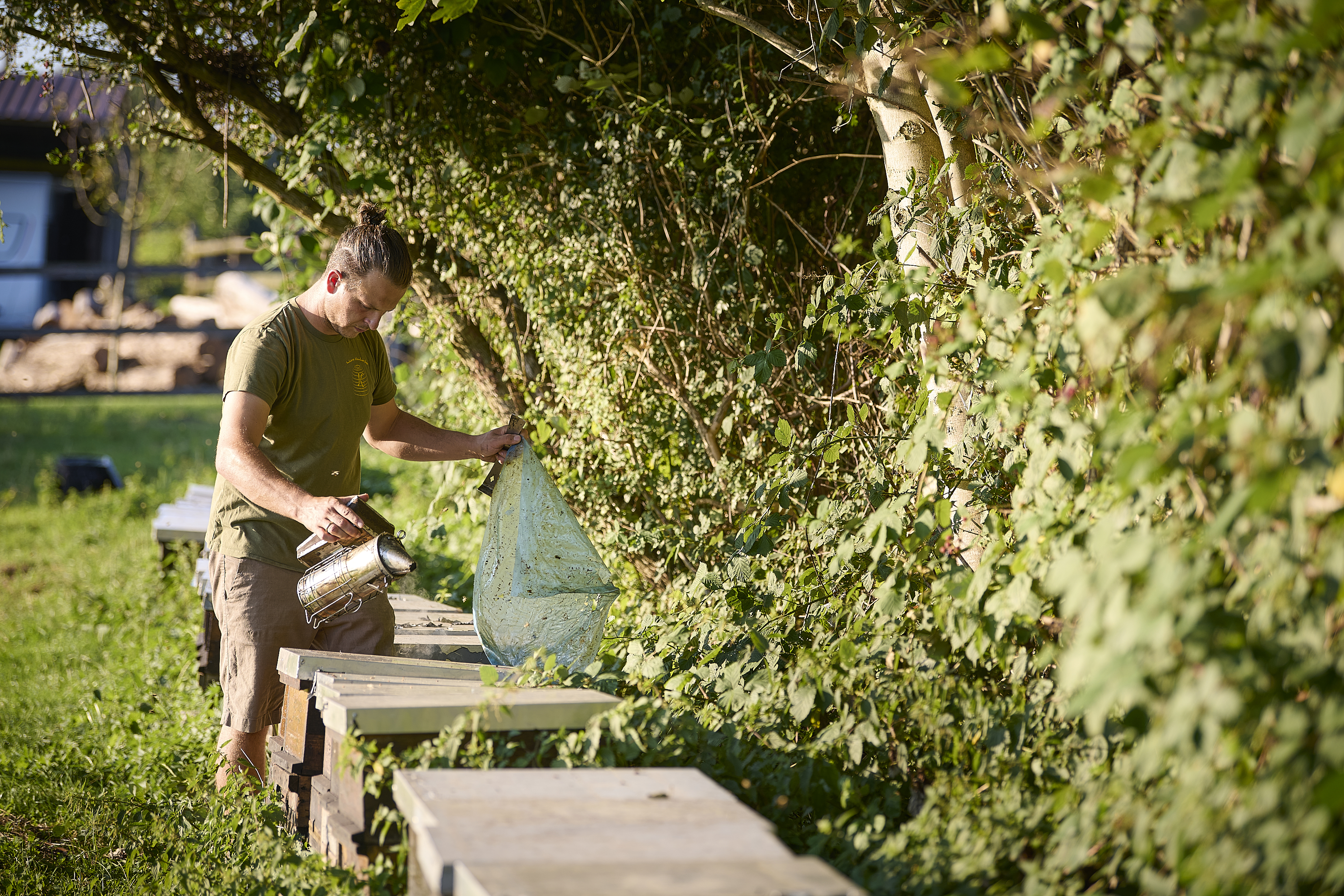 Jens Keinhörster nimmt einen Wabenrahmen aus einem Bienenstock.