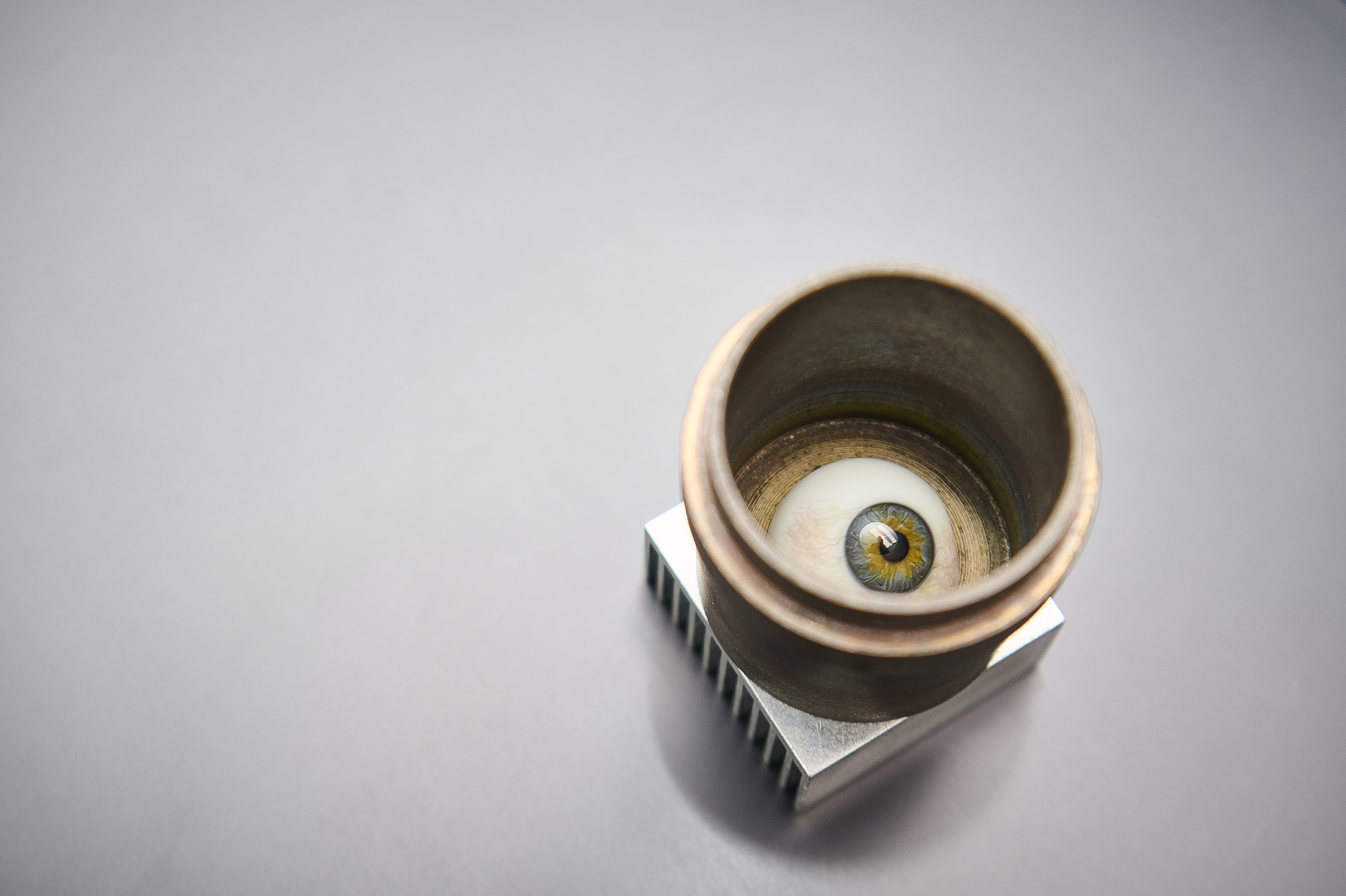 Ein Kunstauge kühlt in einem Metalltiegel aus.